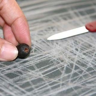 Hạt giống Sen Nhật mini 10 hạt
