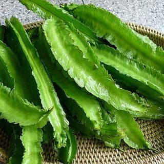 Hạt giống Đậu rồng cao sản 10g