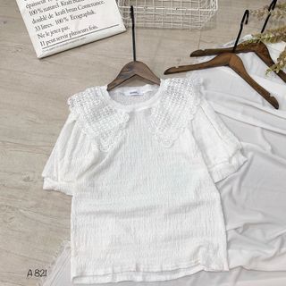 Áo kiểu cổ ren A821
