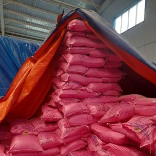 Tinh bột Alphal Starch- Pregelatinized Starch