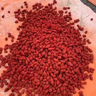 Nghệ củ xà cừ cho gà đá