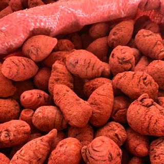 Nghệ củ xà cừ cho gà đá