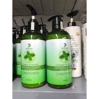 Cặp dầu gội xả tinh chất bạc hà Lavistor