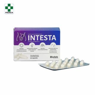 Intesta hỗ trợ điều trị viêm đại tràng giá sỉ