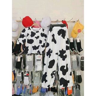 Áo croptop cotton tay lỡ bò sữa đẹp