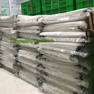 Tìm đại lý phân phối túi bao trái cây
