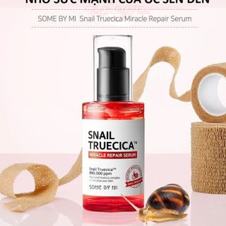 serum ốc sên snail