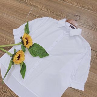Sơ Mi Nữ Cộc Tay - Vài Thô Mềm Cao Cấp