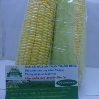Bắp Mỹ sạch an toàn chuẩn Vietgap- cặp 500g UP