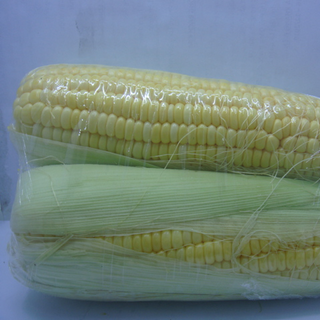 Bắp Mỹ sạch an toàn chuẩn Vietgap- cặp 500g UP