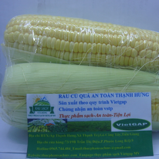 Bắp Mỹ sạch an toàn chuẩn Vietgap- cặp 500g UP