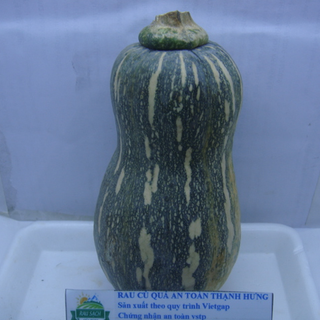 Bí đỏ Hồ Lô-trái 300g UP