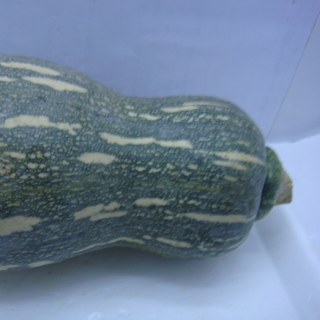 Bí đỏ Hồ Lô-trái 300g UP