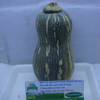 Bí đỏ Hồ Lô-trái 300g UP