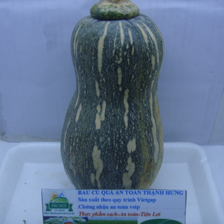 Bí đỏ Hồ Lô-trái 300g UP