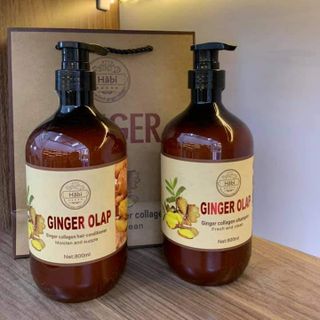 DẦU GỘI DƯỠNG SINH GỪNG GINGER OLAP