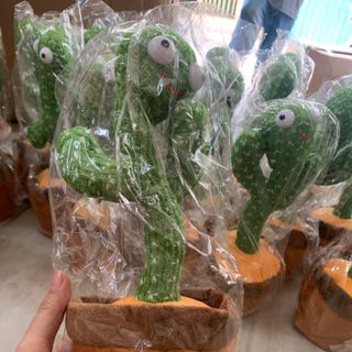 cây sương rồng cảm xúc