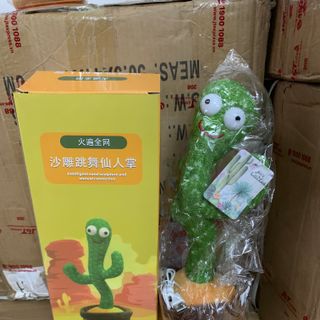 cây sương rồng cảm xúc