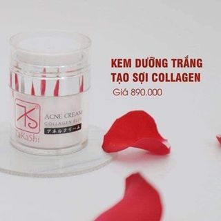 KEM TẠO SỢI COLLAGEN TAKASHI