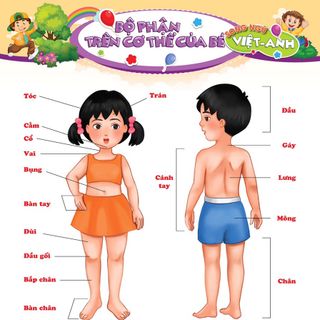 BỘ TRANH 6 tờ đa dạng chủ đề dành cho bé