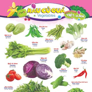 BỘ TRANH 6 tờ đa dạng chủ đề dành cho bé