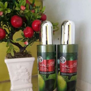 Xịt dưỡng tóc tinh dầu bưởi Valert Repair Essence Plus