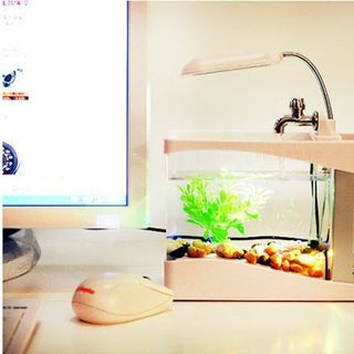 HỒ CÁ MINI ĐỂ BÀN