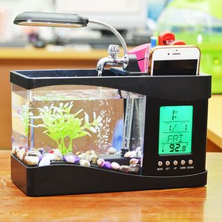 HỒ CÁ MINI ĐỂ BÀN