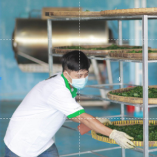 Trà Trầm Hương Agarvina (dạng lá)