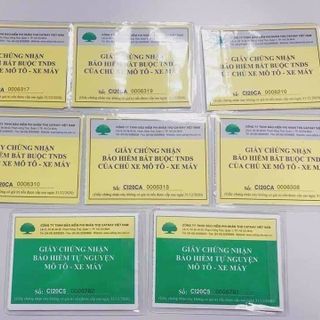 Bảo hiểm xe cơ giới