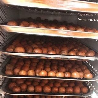 Hạt Mắc ca – Macadamia DiLinh HiFarm