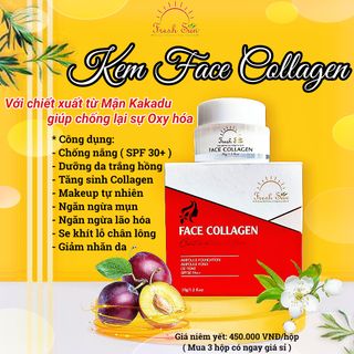 FACE COLLAGEN FRESH SUN ( Chống nắng, makeup, dưỡng da ) giá sỉ