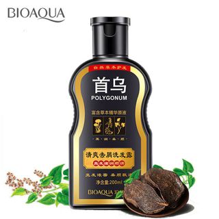 dầu gọi thảo dược polygonum