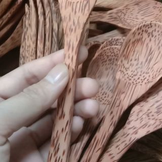 Muỗng + Nĩa gỗ dừa