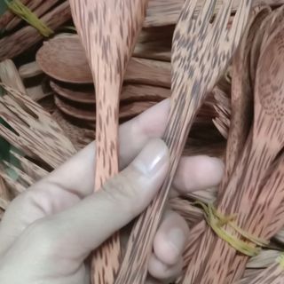Muỗng + Nĩa gỗ dừa