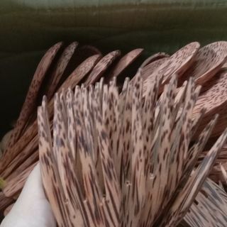 Muỗng + Nĩa gỗ dừa