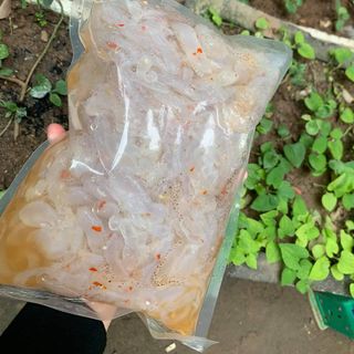 Sứa biển ăn liền Nghệ An, túi 1kg (cả nước cả thân sứa 1,3-1,4kg) giá sỉ