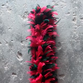 Chổi Lông Gà Màu Loại Lớn