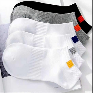 Vớ nam nữ cotton thấm hút mồ hôi