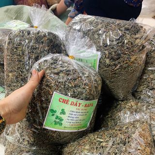 CHÈ DÂY SAPA