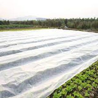 vải không dệt pp