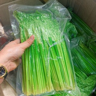 ĐÒNG ĐÒNG LÚA NẾP