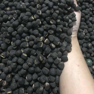 HẠT CHUỐI CÔ ĐƠN NINH THUẬN