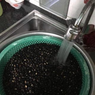 HẠT CHUỐI CÔ ĐƠN NINH THUẬN