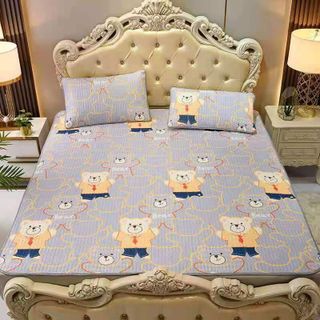 Bộ Chiếu Cao su Non, Chiếu điều hòa 2d mát