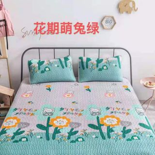 Bộ Chiếu Cao su Non, Chiếu điều hòa 2d mát
