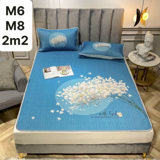Bộ Chiếu Điểu Hòa, Chiếu Cao su non latex 5D