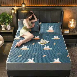Bộ Chiếu Cao su Non 2D, Chiếu Điều Hòa Mát Lạnh