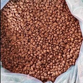 Cà Phê Hạt Robusta