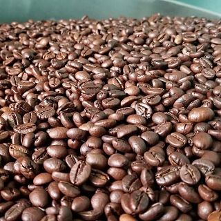Cà Phê Hạt Robusta